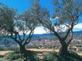 decorative, structural, ornamental and architectural column 26 - Manosque 2 decorative, structural, ornamental and architectural column 26 - Manosque 2